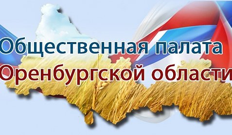 Депутаты теперь не могут быть членами Общественной палаты